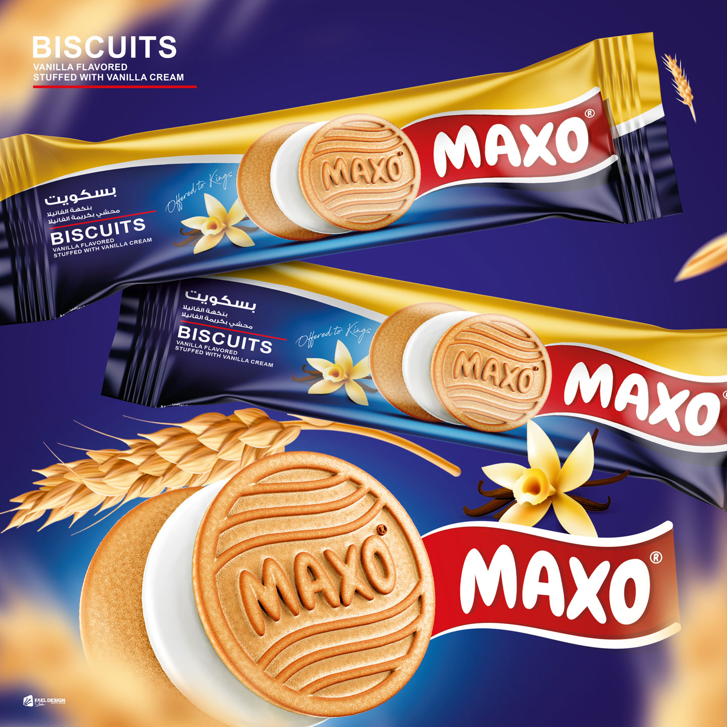 MAXO Biscuit® | Packaging Design